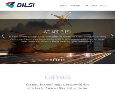 bilsi