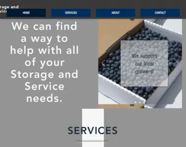 storageandservicesolutions